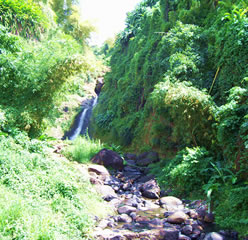 Waterfall on Grenada